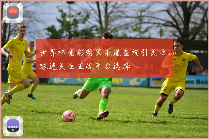 世界杯竞彩购买渠道查询引关注,球迷关注正规平台选择