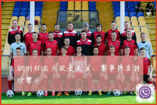 欧洲杯龙头股受关注,赛事热度持续攀升