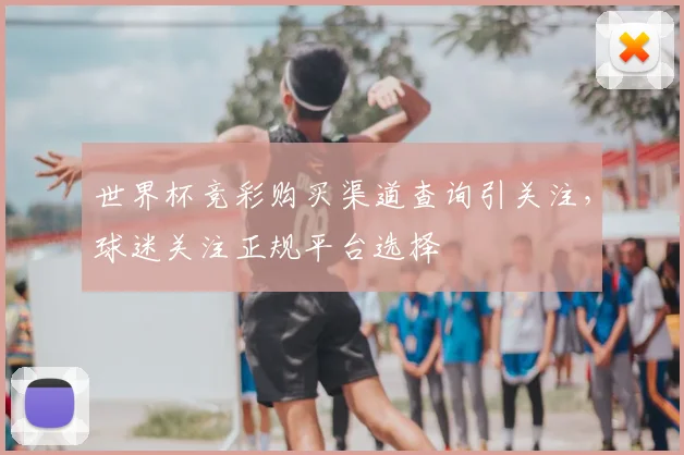 世界杯竞彩购买渠道查询引关注,球迷关注正规平台选择