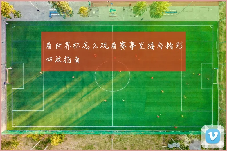 看世界杯怎么观看赛事直播与精彩回放指南