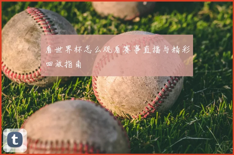 看世界杯怎么观看赛事直播与精彩回放指南
