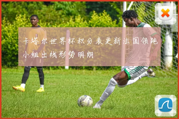 卡塔尔世界杯积分表更新法国领跑小组出线形势明朗