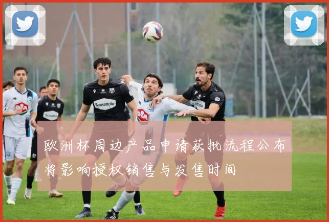 欧洲杯周边产品申请获批流程公布将影响授权销售与发售时间
