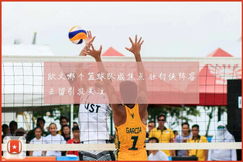 欧文哪个篮球队成焦点 独行侠阵容去留引发关注