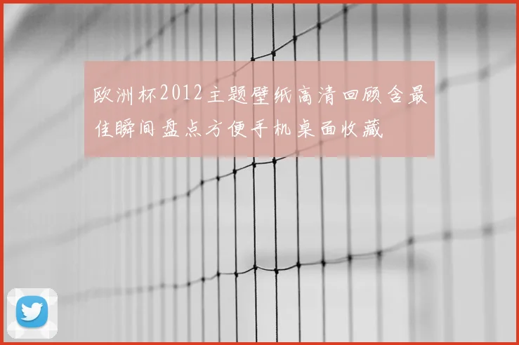 欧洲杯2012主题壁纸高清回顾含最佳瞬间盘点方便手机桌面收藏